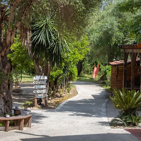 Wilde Rose 2* ダシア