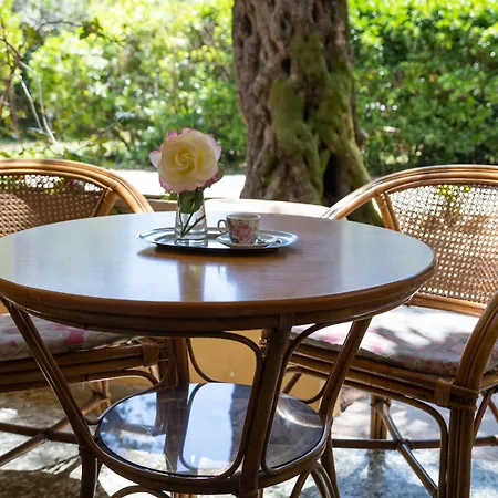 Wilde Rose Hotel Dassia (Corfu)