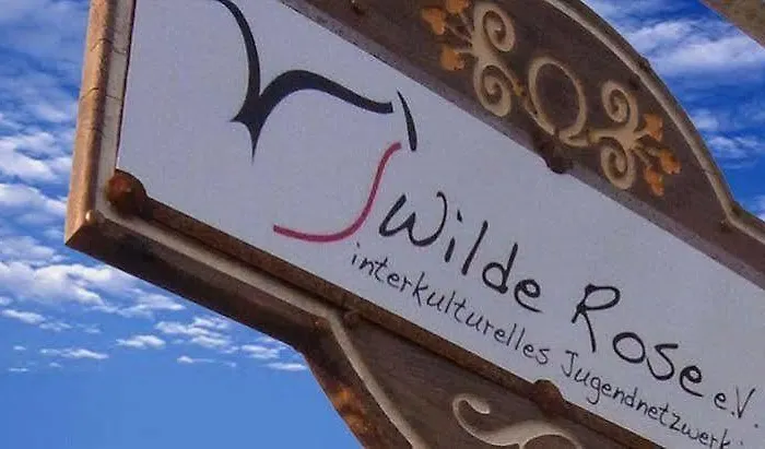 Wilde Rose 2*